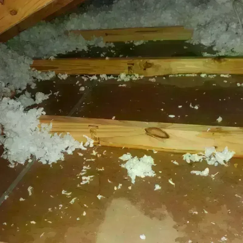 Attic Water Damage in Broken Bow, NE